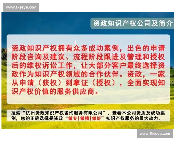 体育品牌代理合作新模式探索推动市场发展与品牌价值提升